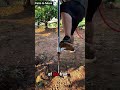 Easy Soil Watering Tool for Deep Root Irrigation Hashtags#SmartFarming #IrrigationTool #DeepWatering