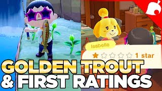 Stalk Market, Golden Trout, & First Island Rating in Animal Crossing New Horizons