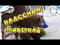 Охота На Соболя | Капканы: Классная Проверка