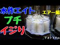 金魚水槽 水作エイト エアー改造 ボコ泡→シュワ泡の巻