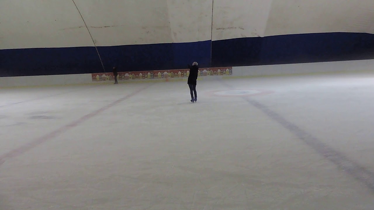 Луганск каток пингвин карта