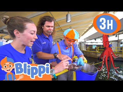 Blippi Visits an Aquarium! 🐟 | Blippi - Kids Playground | Educational Videos for Kids
