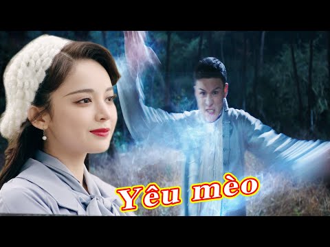 Video: Tại Sao Chúng Ta Yêu Mèo