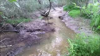 4 pounds of Tannerite vs beaver dam