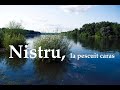 Nistru, la pescuit caras