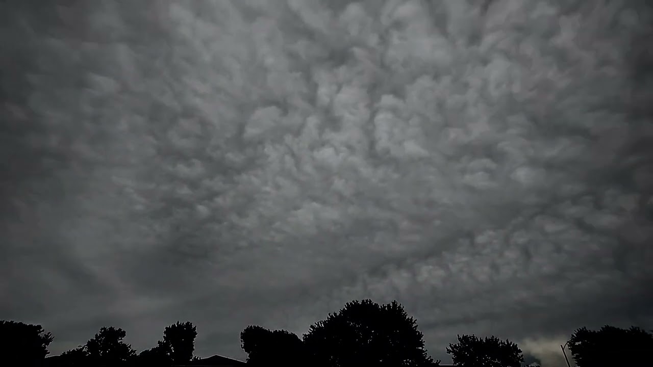 Beat It 🌻 Serpent wrap around track