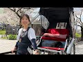 桜🌸 │ 人力車とお散歩