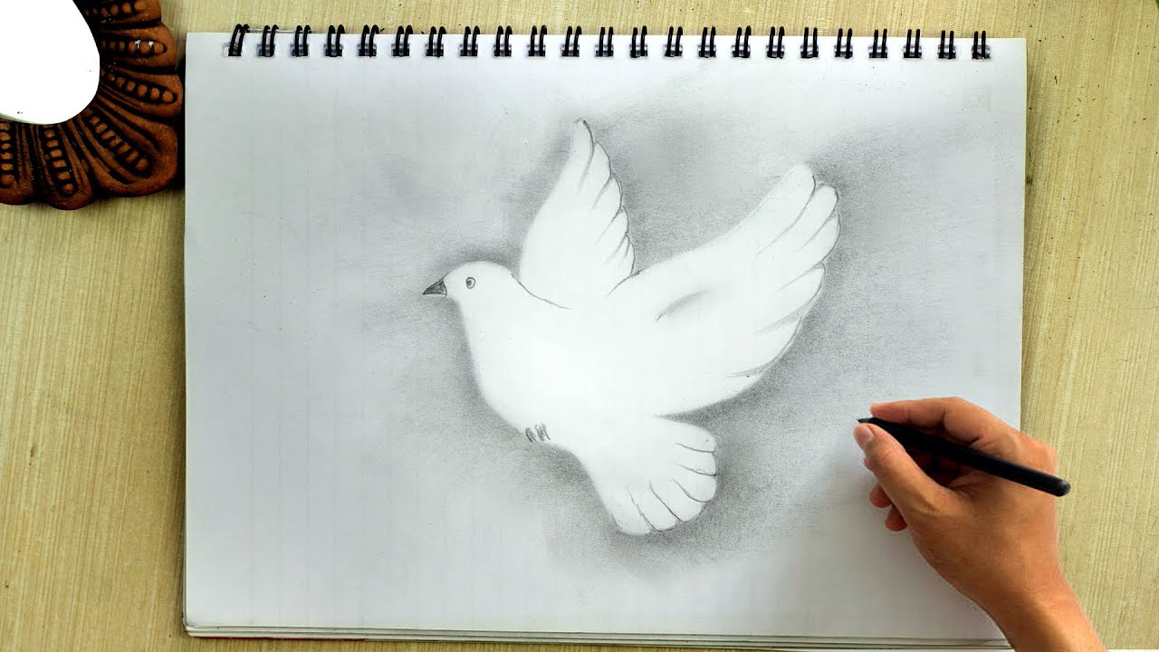 How to draw a flying bird in a minute/ simple flying bird/flaying dow -  YouTube