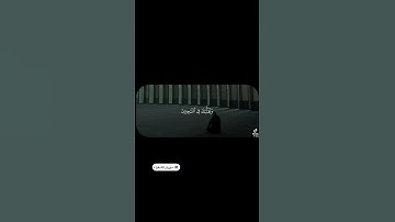 #سورة_الشعراء #بدر_التركي