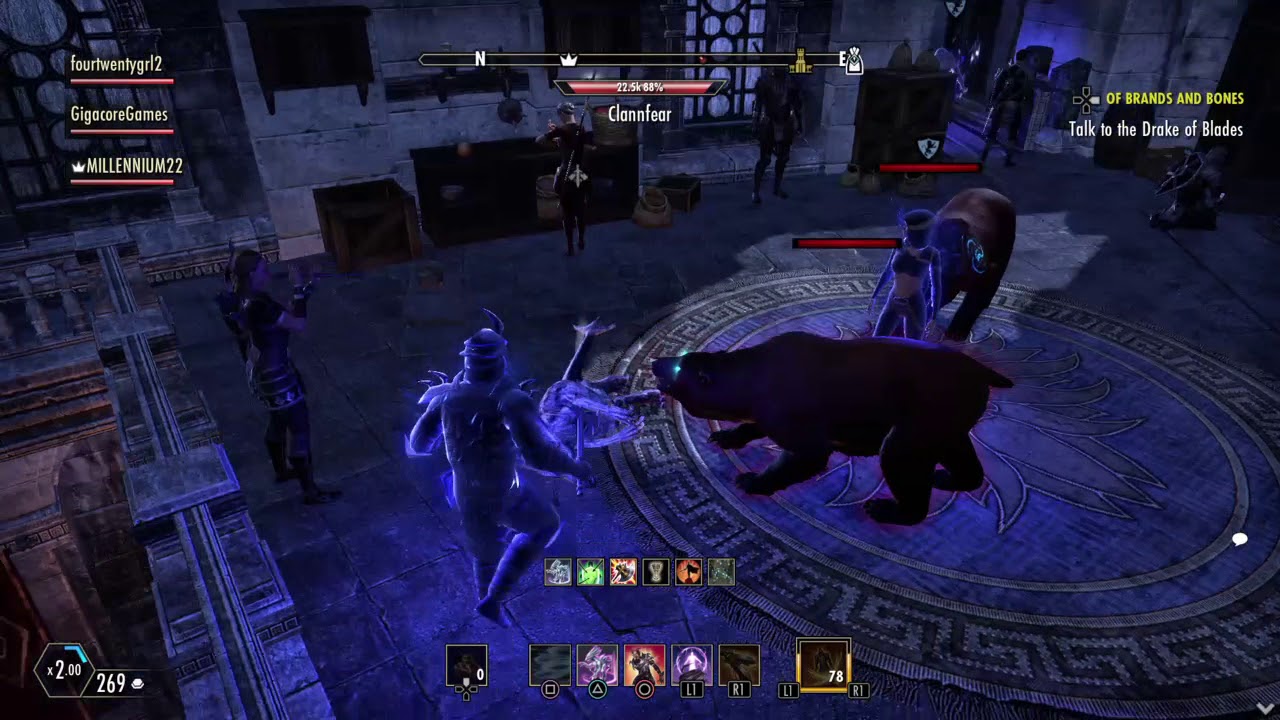 Underground Pet Fighting in Imperial City YouTube