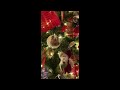 My Movie 11