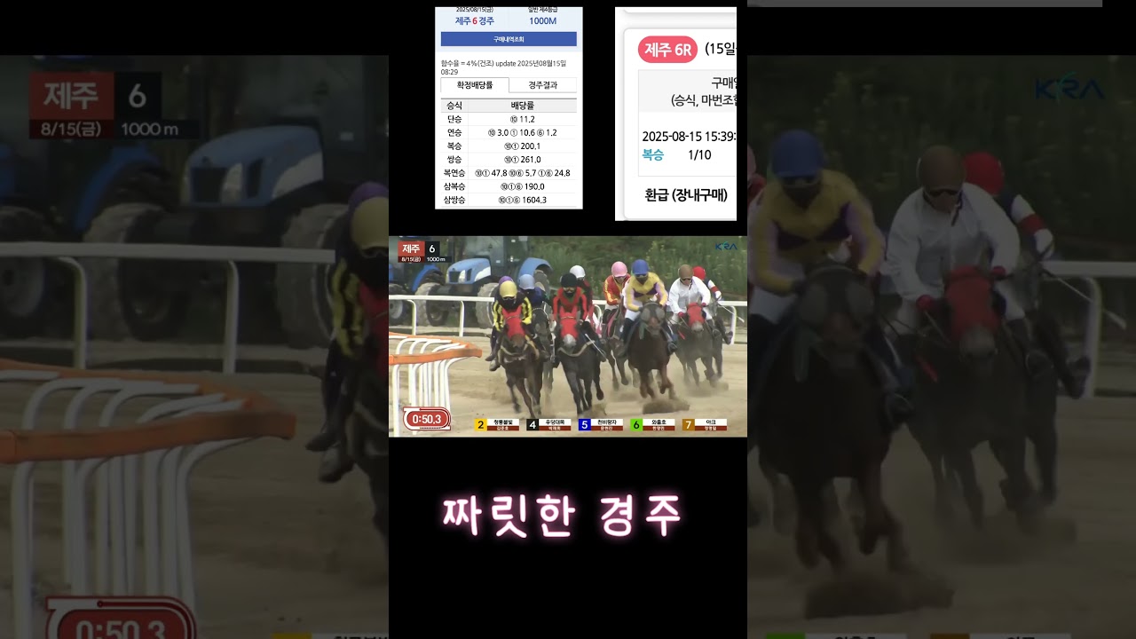 짜릿한경주100백적중