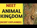 NCERT Chapter 4 Animal Kingdom Class 11 Quick Revision Series for NEET/AIIMS/by Beats For Biology