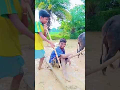 In Ban Ruar Redo Sido Hohoy Hulhul Short Santhalivideo Panmuniofficial