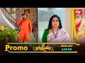 Janaki Parinayam Weekly Promo | Mon-Sat 6:00pm | ETV Telugu