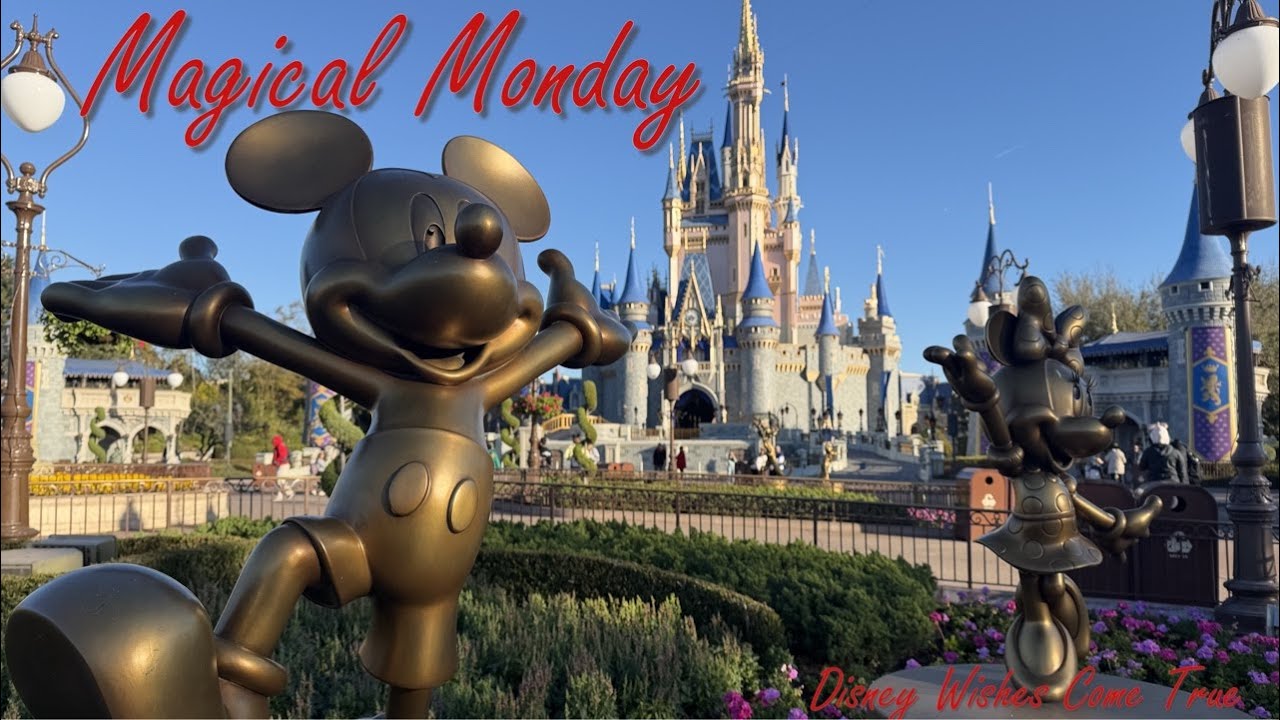 🔴Live:  Morning Sunrise Zen at Magic Kingdom. #disney #zen #calm