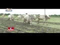 Jordar News: Poor farmer gets Rs. 16 lakh electricity bill
