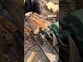 splitting the wooden log manually using a professional electric tool for firewood