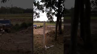 Building a house in Thailand - 14   #houseinthailand #construction #thailandhouse #thaihouse #thaih