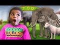 ZOO ANIMALS PRETEND PLAY HIDE N SEEK with GOO GOO GAGA! LEARN TO COUNT TO 5