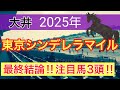 【東京シンデレラマイル2025】蓮の地方競馬予想(最終結論)〜東京大賞典は注目馬と穴馬で3着内独占