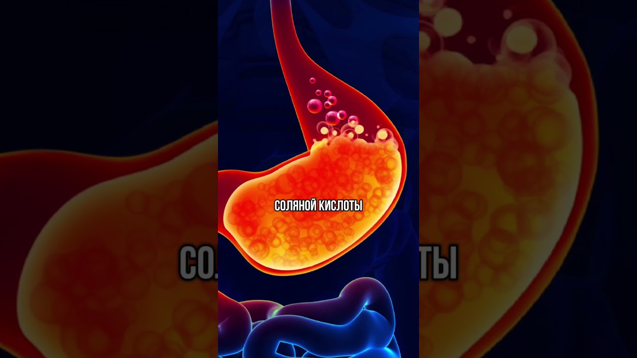 Как понять, что болит поджелудочная железа?