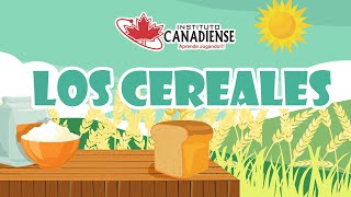 Los Cereales - Video Educativo Preescolar