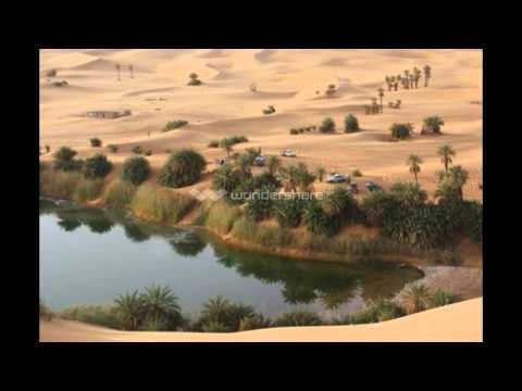 سلام قدري لو تؤمريني يا ليبيا