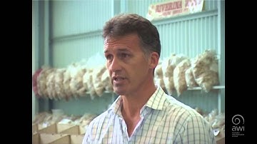 AWI Wool Handling - Getting Prepared - Point of View - Mark Grave