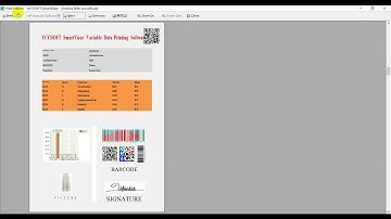 The most valuable Automated VDP workflow and Dynamic documents -image personalization-VDPSOFT