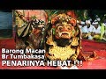 23 m views barong macan bali  tegallalang gianyar