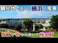 観光ルートに入らない横浜の風景を楽しむ!【保土ヶ谷駅~桜木町駅】