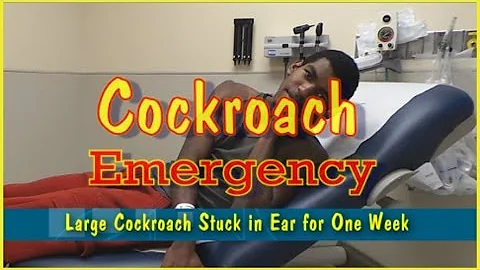 Cockroach Emergency