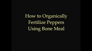 How to Fertilize Pepper Plants Using Bone Meal | Tyler Farms