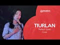 KOTAK - Perfect Love (TIURLAN LIVE Cover)