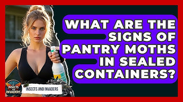What Are The Signs Of Pantry Moths In Sealed Containers? - Insects and Invaders