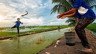 #EP1461 Mancing Belut waktu Petang memang Syahdu