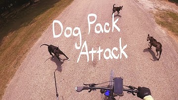 Dog Pack Attack Mentality with Amputee Cyclist Aaron Smith of Gainesville, TX