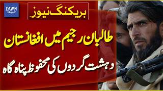 Afghanistan Becomes Safe Haven for Terrorists Under Taliban Regime | Breaking News | Dawn News