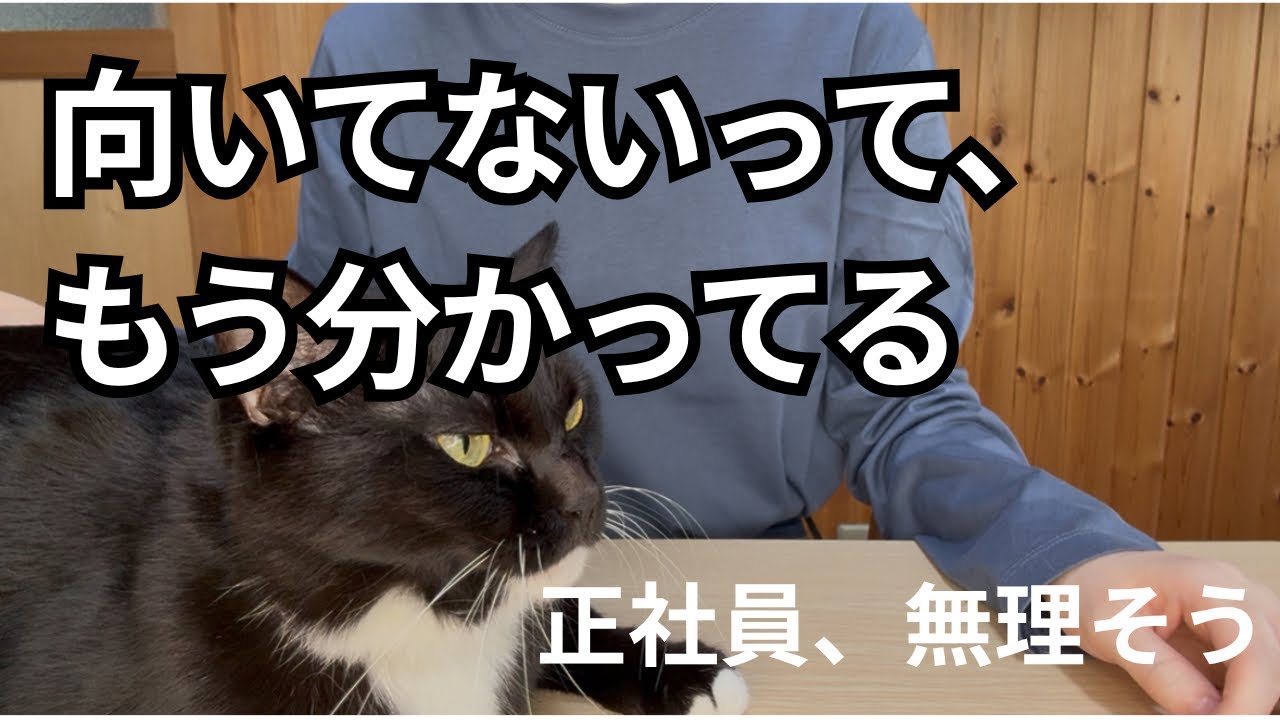正社員になれない。そもそも向いてない。じゃあ何になれる？　【大卒フリーター】