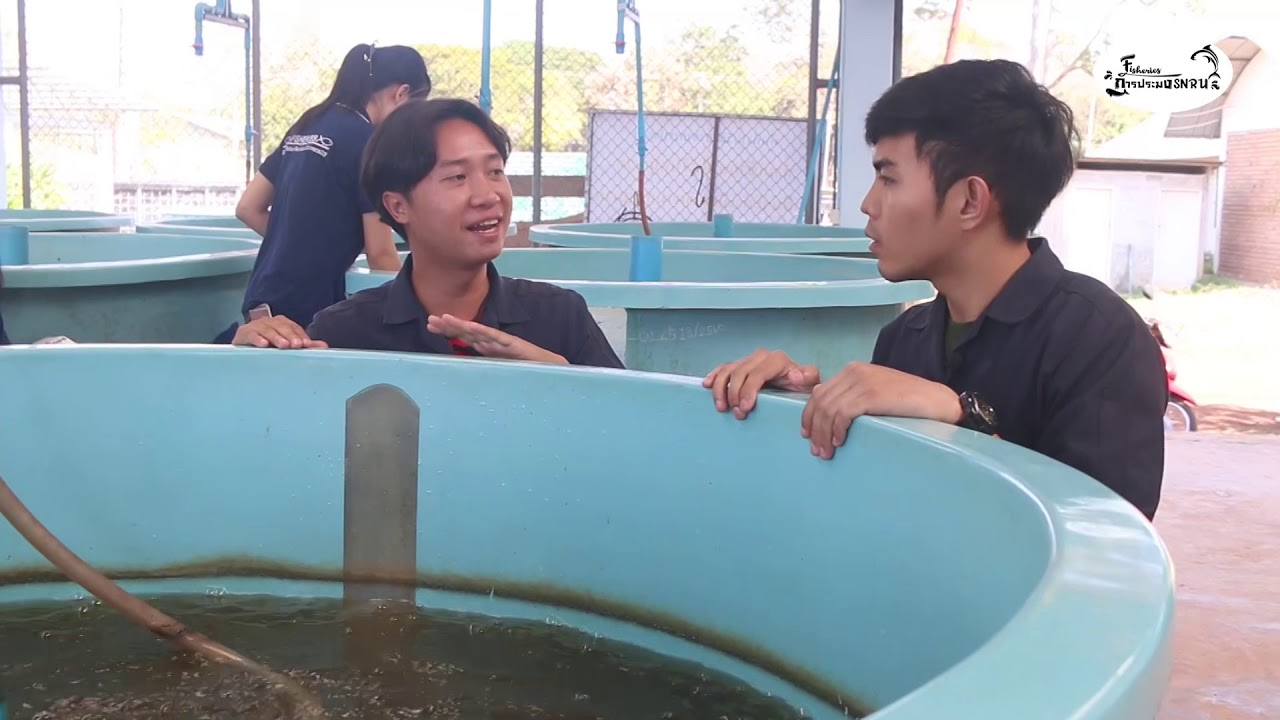 ประชาสัมพันธ์หลักสูตร สาขาวิชาการประมง คณะเทคโนโลยีการเกษตร