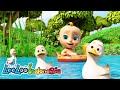 📺👶 Lima Bebek Kecil 🎶 | Kompilasi Lagu Anak-Anak LooLoo Kids Selama Satu Jam! 🌟