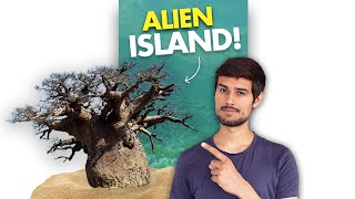 The Weirdest Island on Earth!