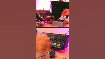 80s vibe all day long #80s #synth #roland #ju06a #shorts