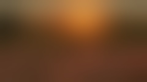 Beautiful Sunset Animation | Relaxing Nature Animated Video !