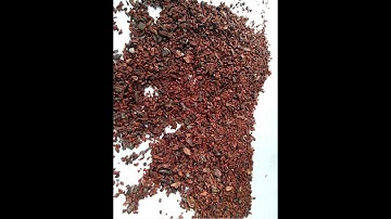 Cocoa bean Crusher and separator for processing cocoa beans Cocoa breaker, Cocoa bean butter coco
