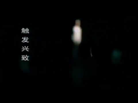 The Lion Roars Trailer, Carlsberg Beer Commercial (Mandarin) & Speedy Video Logo (2002)