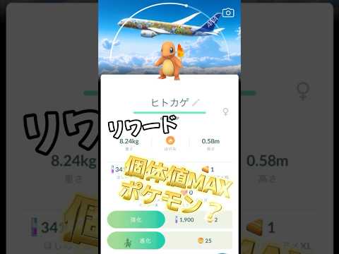 「ポケモンジェット 赤」のリワードは個体値MAX ポケモンかも？本当かなぁ… #ポケモンgo #ヒトカゲ