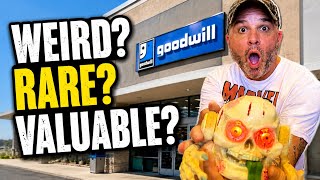 You Never Know What Weird, Rare and Valuable Things You’re Going To Find In A Thrift Store!