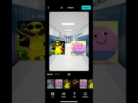 Gasoline Ha Ha Ha Automobile